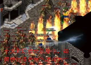 ʮ�����洫��˽���У���ο���������ɫս������