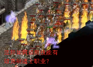 法师如何运用技能有效克制道士职业? 法师如何运用技能有效克制道士职业?