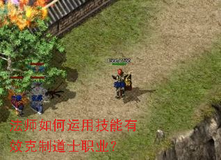 法师如何运用技能有效克制道士职业? 法师如何运用技能有效克制道士职业?