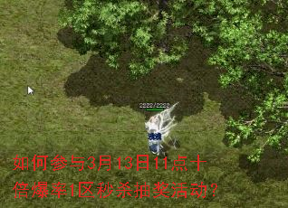 如何参与3月13日11点十倍爆率1区秒杀抽奖活动? 如何参与3月13日11点十倍爆率1区秒杀抽奖活动?