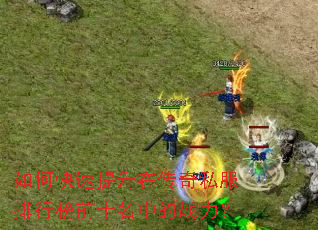 如何快速提升在传奇私服排行榜前十名中的战力? 如何快速提升在传奇私服排行榜前十名中的战力?
