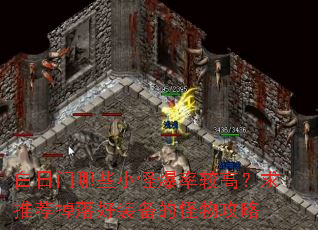 ��������ЩС�ֱ��ʽϸߣ����Ƽ������װ���Ĺ��﹥��