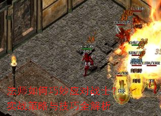��ʦ�������Ӧ��սʿ��ʵս�����뼼��ȫ����