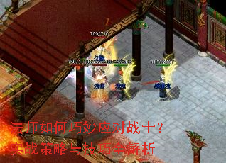 ��ʦ�������Ӧ��սʿ��ʵս�����뼼��ȫ����