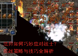 ��ʦ�������Ӧ��սʿ��ʵս�����뼼��ȫ����