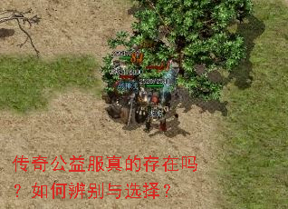 ���湫�����Ĵ�������α����ѡ��