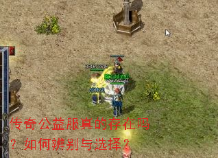 ���湫�����Ĵ�������α����ѡ��