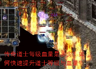 �����ʿÿ��Ѫ���Ƕ��٣���ο���������ʿ�ȼ���Ѫ����