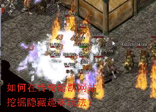 ����ڴ����¿���վ�ھ�����Ȥζ�淨��