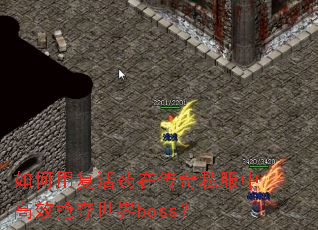 如何用复活药在传奇私服中高效抢夺世界boss? 如何用复活药在传奇私服中高效抢夺世界boss?