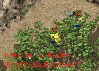 传奇170道士如何快速升级?求高效练级路线与技巧 传奇170道士如何快速升级?求高效练级路线与技巧