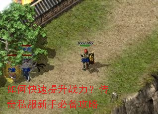 如何快速提升战力?传奇私服新手必备攻略 如何快速提升战力?传奇私服新手必备攻略