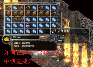 如何在新开传奇网站中快速提升等级? 如何在新开传奇网站中快速提升等级?