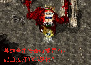 Ӣ�ۺϻ������ؽ��Ƿ�ֻ��ͨ����BOSS��ã�