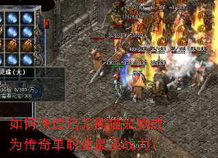 如何快速培养熊猫宠物成为传奇单职业最强战力? 如何快速培养熊猫宠物成为传奇单职业最强战力?