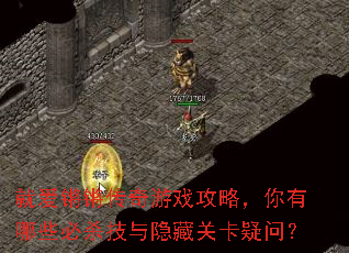 就爱锵锵传奇游戏攻略,你有哪些必杀技与隐藏关卡疑问? 就爱锵锵传奇游戏攻略,你有哪些必杀技与隐藏关卡疑问?