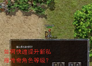 如何快速提升新私服传奇角色等级? 如何快速提升新私服传奇角色等级?