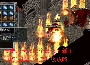 传奇月卡服哪个最火?新手如何选择与快速升级攻略 传奇月卡服哪个最火?新手如何选择与快速升级攻略