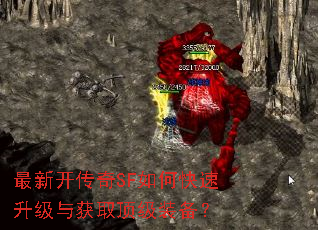 ���¿�����SF��ο����������ȡ����װ����