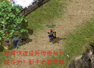 如何快速提升传奇角色战斗力?新手必看攻略 如何快速提升传奇角色战斗力?新手必看攻略