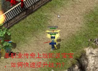 单职业传奇上线即送宝宝,如何快速提升战力? 单职业传奇上线即送宝宝,如何快速提升战力?
