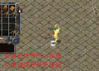 如何在传奇Plus私服中快速提升角色等级? 如何在传奇Plus私服中快速提升角色等级?