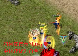 如何在传奇Plus私服中快速提升角色等级? 如何在传奇Plus私服中快速提升角色等级?