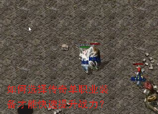 ���ѡ���浥ְҵװ�����ܿ�������ս����