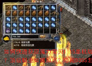 ��ο��ٻ�ȡħ������1.15�����洫��װ��������ְҵ��μӵ㣿����BOSS��ô��