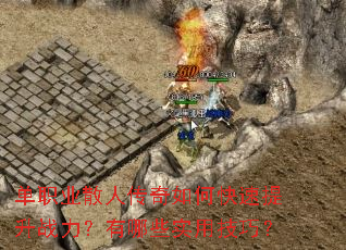 ��ְҵɢ�˴�����ο�������ս��������Щʵ�ü��ɣ�