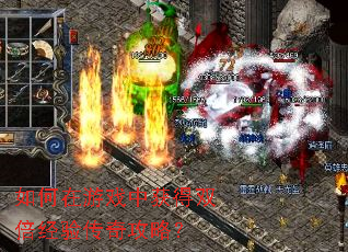 �������Ϸ�л��˫�����鴫�湥�ԣ�