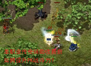 ��ְҵ���渨���շѺ��������PKս������