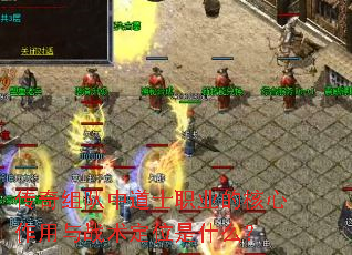 传奇组队中道士职业的核心作用与战术定位是什么? 传奇组队中道士职业的核心作用与战术定位是什么?