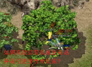 如何高效运营私域发布站并吸引更多传奇玩家? 如何高效运营私域发布站并吸引更多传奇玩家?