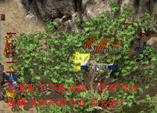 龙城助手下载攻略?传奇游戏如何快速升级与获取装备? 龙城助手下载攻略?传奇游戏如何快速升级与获取装备?