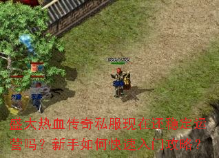 盛大热血传奇私服现在还稳定运营吗?新手如何快速入门攻略? 盛大热血传奇私服现在还稳定运营吗?新手如何快速入门攻略?