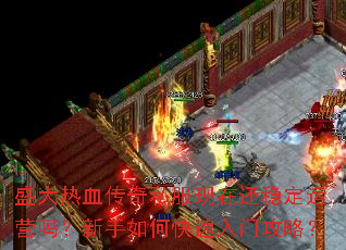 ʢ����Ѫ����˽�����ڻ��ȶ���Ӫ��������ο������Ź��ԣ�