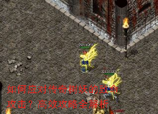 如何应对传奇树妖的致命攻击?高效攻略全解析 如何应对传奇树妖的致命攻击?高效攻略全解析