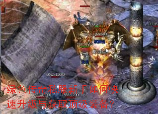 绿色传奇私服新手如何快速升级与获取顶级装备? 绿色传奇私服新手如何快速升级与获取顶级装备?