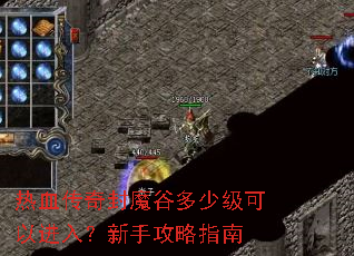 ��Ѫ�����ħ�ȶ��ټ����Խ��룿���ֹ���ָ��
