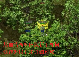 热血传奇怀旧版新手如何快速升级?求详细攻略 热血传奇怀旧版新手如何快速升级?求详细攻略