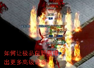 如何让极品白野猪爆出更多高级装备? 如何让极品白野猪爆出更多高级装备?