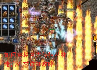 如何穿越复古传神丛林迷宫?求详细攻略。 如何穿越复古传神丛林迷宫?求详细攻略。