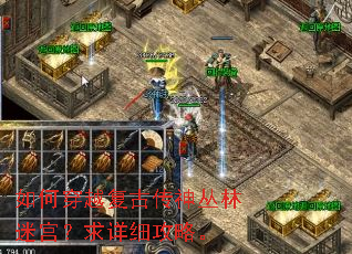 ��δ�Խ���Ŵ�������Թ�������ϸ���ԡ�