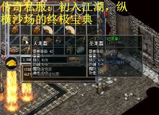 传奇私服：初入江湖，纵横沙场的终极宝典