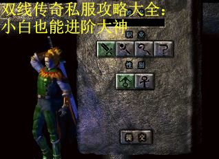 双线传奇私服攻略大全：小白也能进阶大神