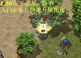 1.80帝王合击：新手入门必看！快速升级指南