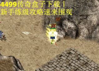 4499传奇盒子下载丨新手练级攻略速来围观