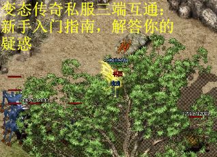 变态传奇私服三端互通：新手入门指南，解答你的疑惑