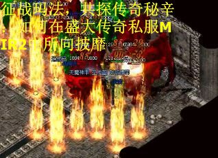 征战玛法，共探传奇秘辛：如何在盛大传奇私服MIR2中所向披靡